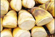 常吃竹筍，對身體有這些好處，可惜知道的人太少