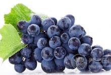 低血糖飲食要均衡