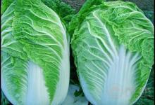 身體健康的人，一般都有這幾個飲食習慣，你占了幾個