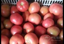 養肝吃什么好？肝臟不好怎么補？