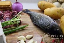 脾胃虛寒的人會發胖嗎?