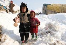 寒冷冬季注意保護腸道健康