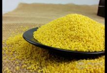 食療養(yǎng)生：食物調(diào)理脾胃小幫手