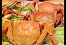 吃螃蟹的注意事項(xiàng)有哪些？