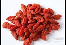 枸杞子的作用與功效枸杞子的食用禁忌枸杞子的副作用
