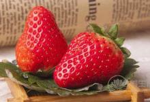 風(fēng)濕病吃什么能好呢