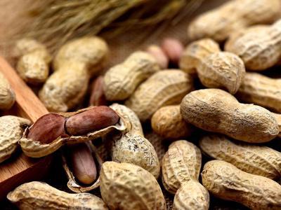 花生應該每天吃多少粒對身體比較合適