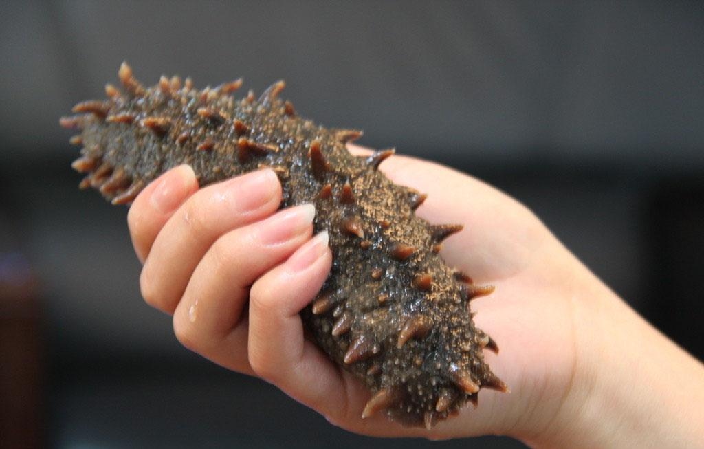 海參的保質期有多長時間 海參的保存方法