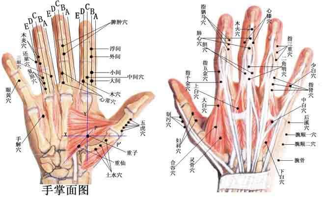 在家如何自己動手通經(jīng)絡(luò) 通經(jīng)絡(luò)的方法