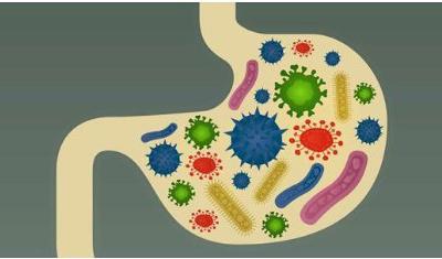 做腸道排毒的作用與腸道排毒的必要性
