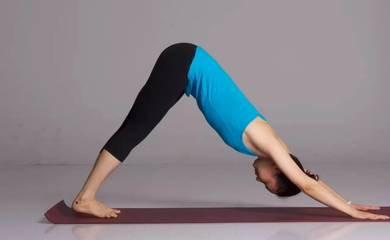 幾種基本健身運動的標準動作方式