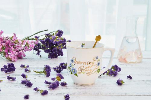 提高免疫力吃什么牌子的蛋白粉好？