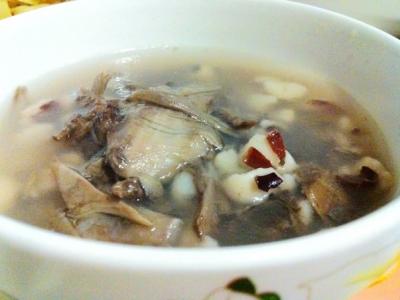 冬蟲(chóng)夏草燉鴨子的營(yíng)養(yǎng)功效與作用