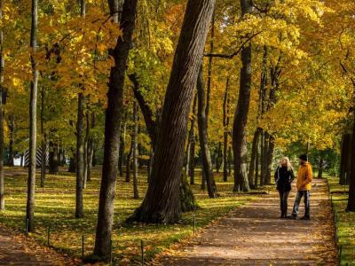 怎么運動才能增加骨密度？4個散步技巧搭配氨糖能護骨！