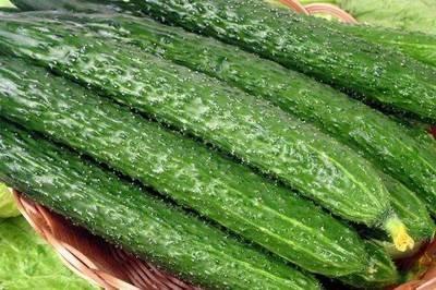 夏天到了有哪些與黃瓜相關(guān)的小菜