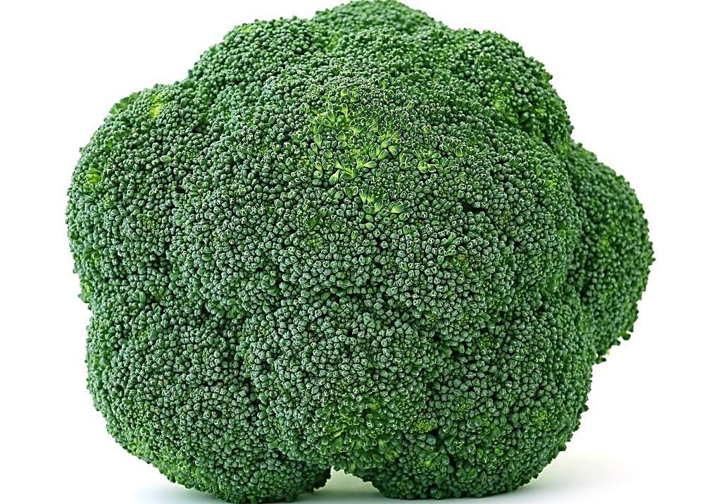 生活中有哪些排油脂效果比較好食物