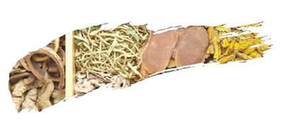 伏天來了 看中醫談養生