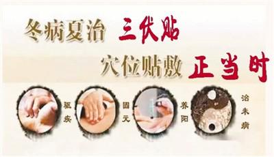 伏天來了 看中醫談養生