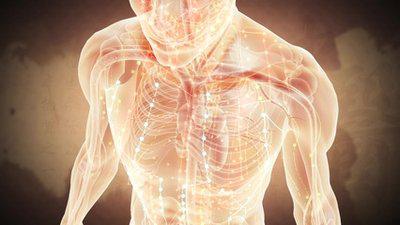 經(jīng)絡(luò)養(yǎng)生對(duì)于身體的好處以及功效-易網(wǎng)<a href=http://www.logojc.com/ target=_blank class=infotextkey>健康養(yǎng)生</a>網(wǎng) 經(jīng)絡(luò)養(yǎng)生對(duì)于身體的好處以及功效