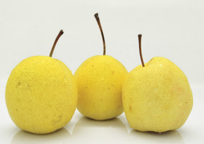 吃梨可以止咳哪種梨子止咳比較好