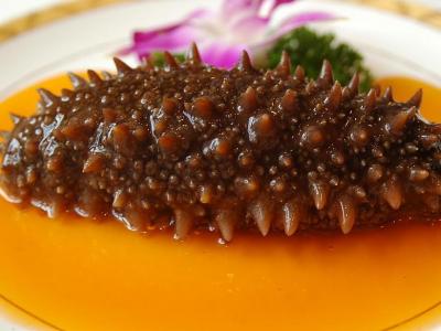 海參有哪些養生功效海參的十大功效