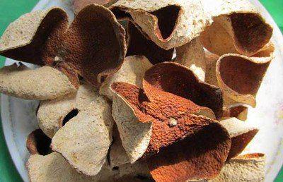 九制陳皮的作用以及服用九制陳皮的危害