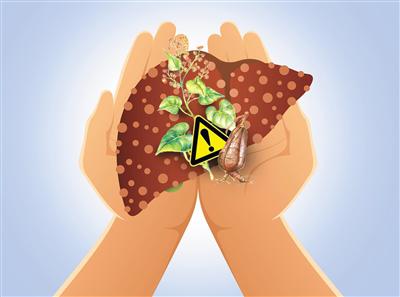 在早上做這些行為比喝酒更加傷肝