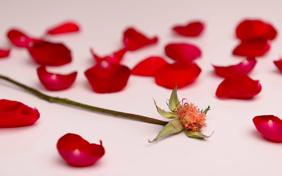 女性比較容易出現氣血虧損的情況