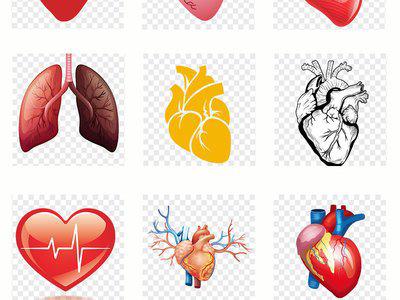 經常在早上五點起床內臟器官會不會受影響
