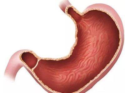 這五條養胃原則對于慢性胃炎來說比藥更重要