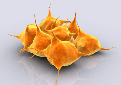 血小板的數(shù)值范圍處于多少屬于正常