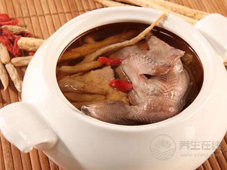 鴿子湯怎么燉最營養(yǎng) 鴿子湯的做法