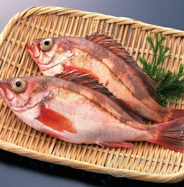 謹記七吃七戒 讓肌膚衰老遠離你