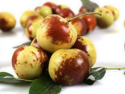 冬棗應該如何儲存營養保留的更好