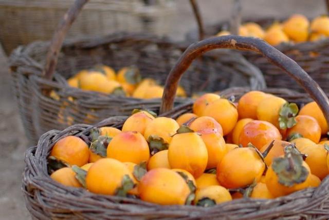 柿子泡酒的營養價值以及柿子泡酒的功效