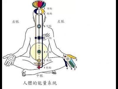 經(jīng)絡(luò)養(yǎng)生的好處有哪些以及經(jīng)絡(luò)養(yǎng)生功效