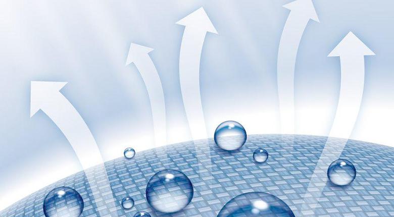 潮濕的天氣情況下吃什么對健康好