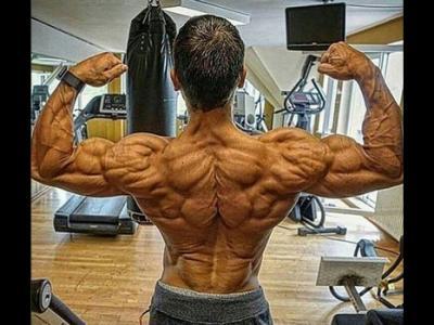 肩部的肌肉有哪些通過(guò)認(rèn)識(shí)肌肉改善肩周炎