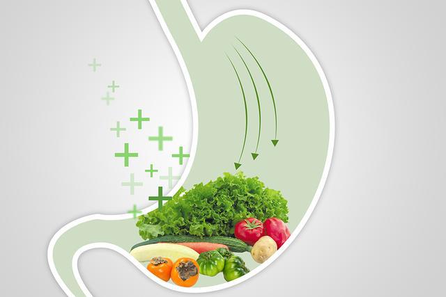 腸胃毒素多導致的肚子大應該怎樣排毒養顏