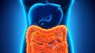 這四個對腸胃好的習(xí)慣應(yīng)該多多堅持