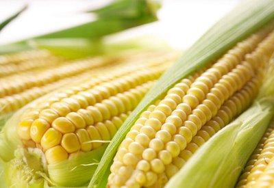 生玉米粒的做法大全玉米粒可以怎么做