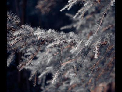 健身的人群在冬天運動時需要注意重點講解