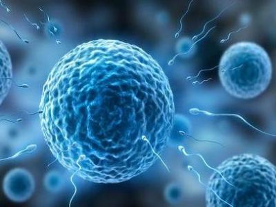 男性精子和性能力常見(jiàn)的錯(cuò)誤認(rèn)知解答