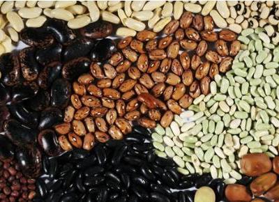 適合肺炎患者食療恢復清熱解毒的食物有哪些