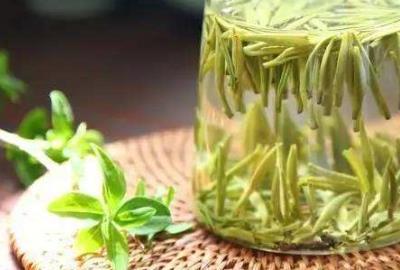 泡水喝野藤茶填補身體碳水化合物保健作用