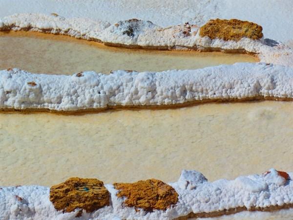 清晨醒來喝一杯蜂蜜檸檬水？高級營養(yǎng)師解釋：喝這2翡翠的種才最健康養(yǎng)生