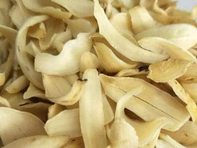 龍牙百合的作用與功效