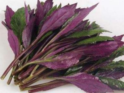 補(bǔ)血菜的作用與功效 吃補(bǔ)血菜的益處