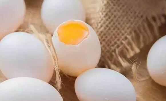 鴿蛋的作用與功效 鴿蛋的營養(yǎng)成分