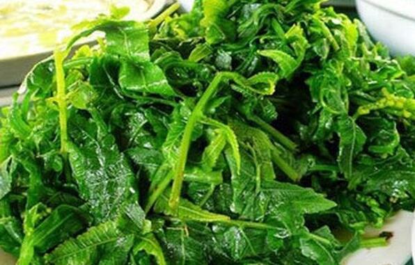 吃水蕨菜有哪些好處呢 水蕨菜有致癌物質嗎
